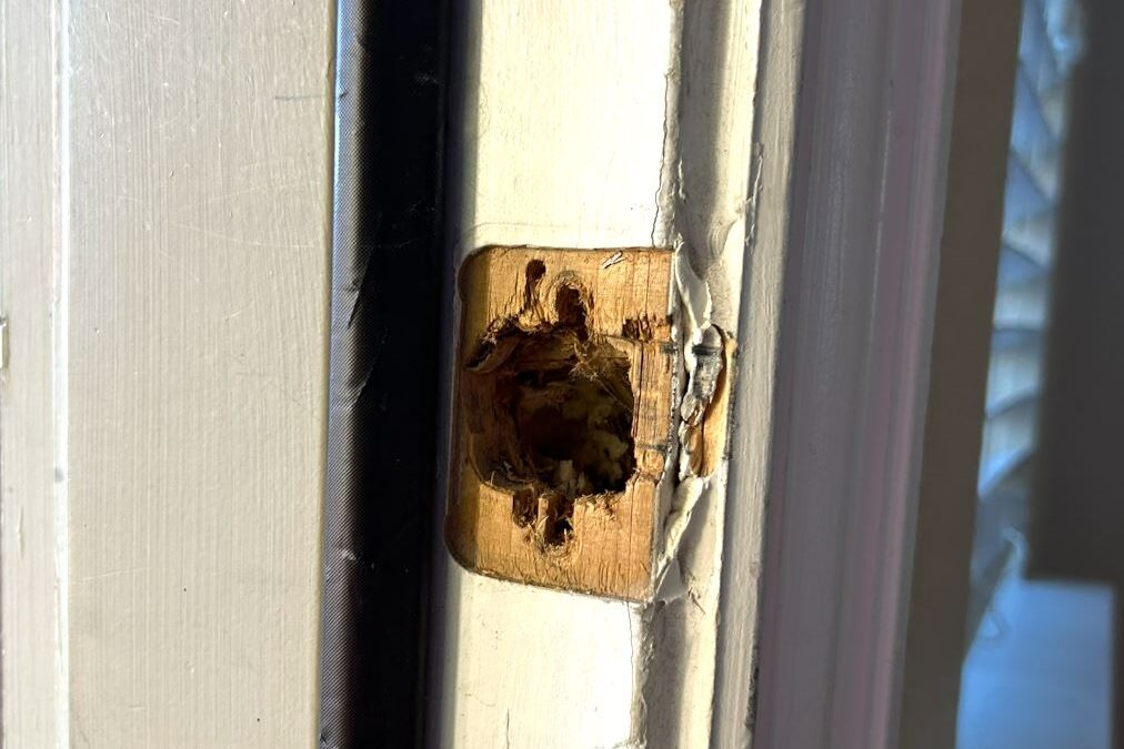Door repair by ServiceBeaver in Keller and DFW Texas